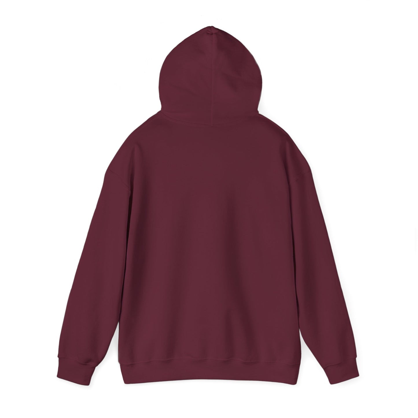The Leaky Jon Boat Co. Hoodie