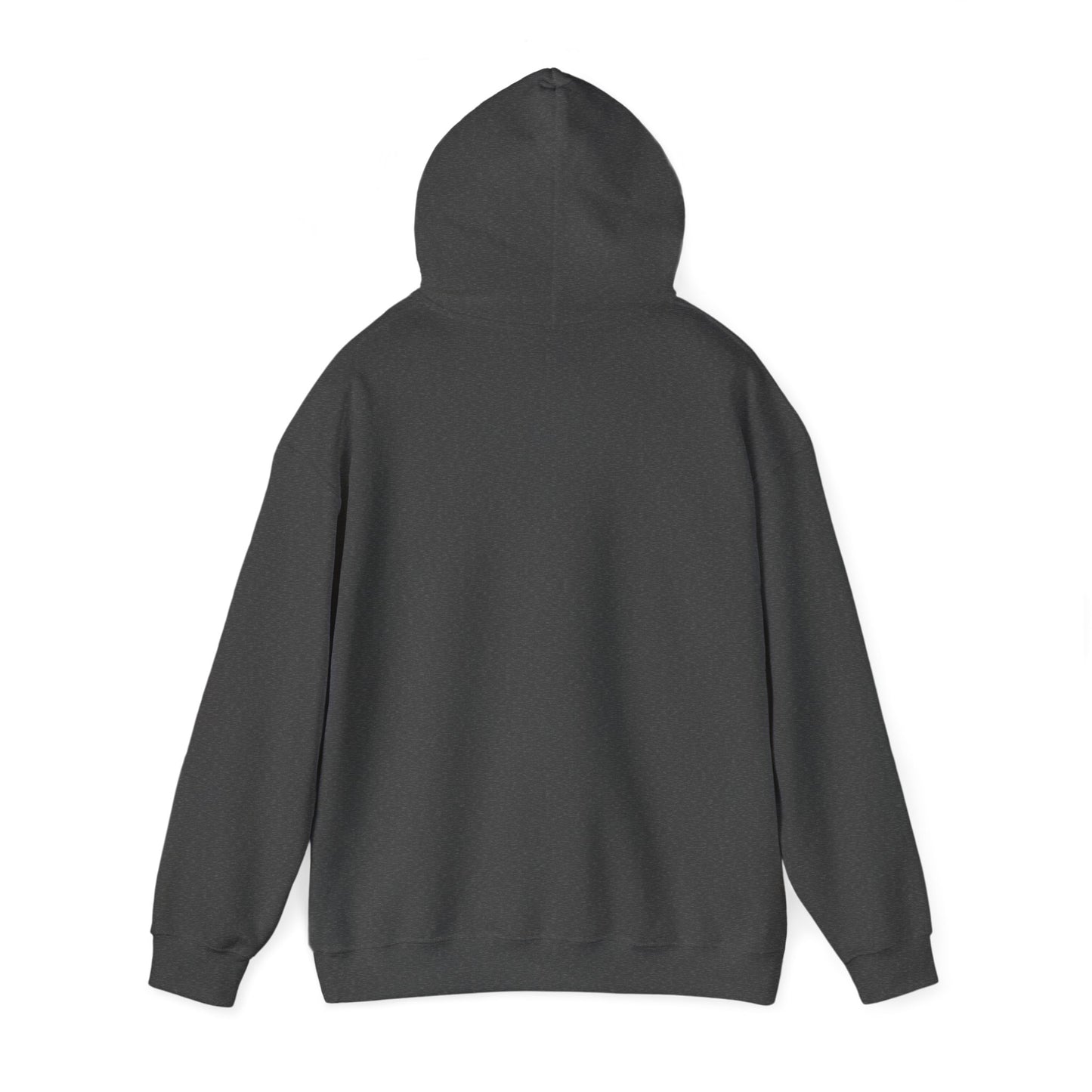 The Leaky Jon Boat Co. Hoodie