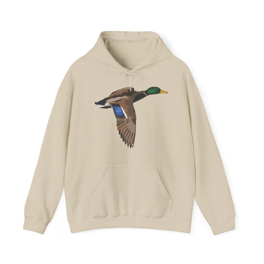 greenead mallard drake duck 